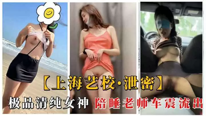 上海艺术学院极品清纯女神车震性丑闻流出